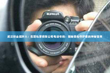 武汉职业捉奸人：东营私家侦探公司电话号码：揭秘隐私守护者的神秘世界