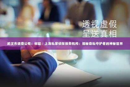 武汉市调查公司：标题：上海私家侦探服务机构：揭秘隐私守护者的神秘世界