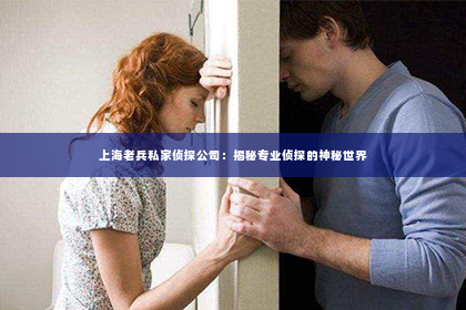 上海老兵私家侦探公司：揭秘专业侦探的神秘世界