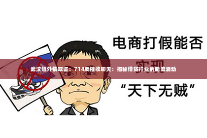 武汉婚外情取证：714反催收聊天：揭秘借贷行业的暗流涌动