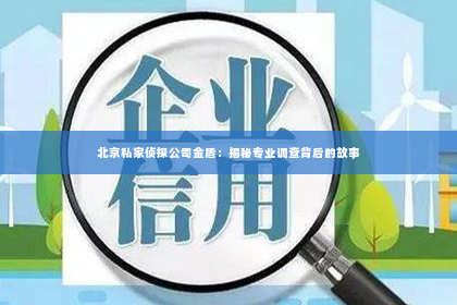 北京私家侦探公司金盾：揭秘专业调查背后的故事