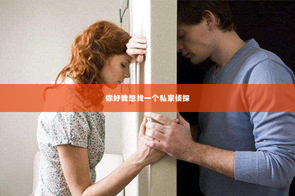 你好我想找一个私家侦探