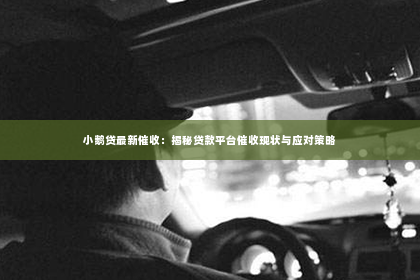 小鹅贷最新催收：揭秘贷款平台催收现状与应对策略