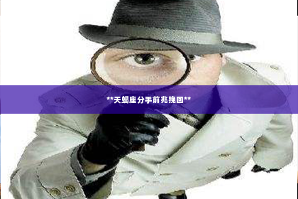 **天蝎座分手前兆挽回**