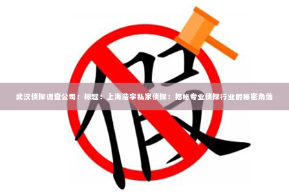 武汉侦探调查公司：标题：上海浩宇私家侦探：揭秘专业侦探行业的秘密角落