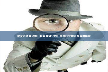 武汉市调查公司：催收联盟公约：揭开行业规范背后的秘密