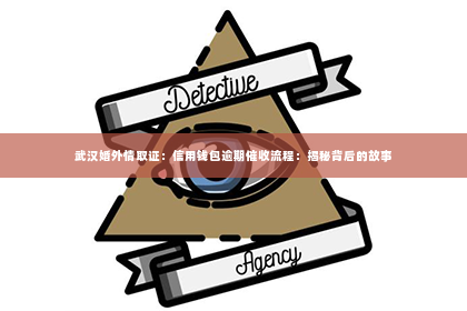 武汉婚外情取证：信用钱包逾期催收流程：揭秘背后的故事