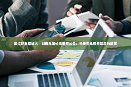 武汉职业捉奸人：湖南私家侦探调查公司：揭秘专业调查背后的故事