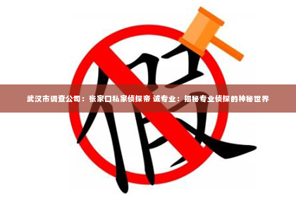 武汉市调查公司：张家口私家侦探帝 诚专业：揭秘专业侦探的神秘世界