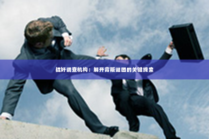 捉奸调查机构：解开背叛谜团的关键线索