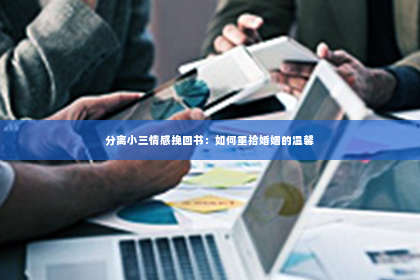分离小三情感挽回书：如何重拾婚姻的温馨