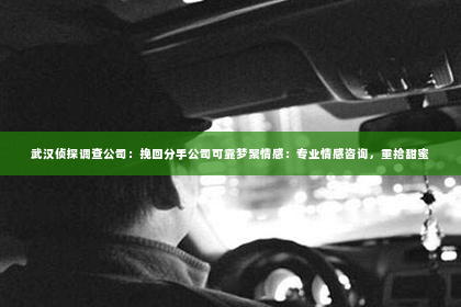 武汉侦探调查公司：挽回分手公司可靠梦聚情感：专业情感咨询，重拾甜蜜