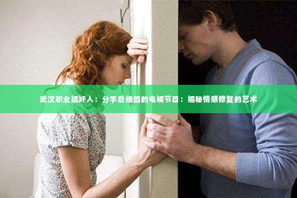 武汉职业捉奸人：分手后挽回的电视节目：揭秘情感修复的艺术