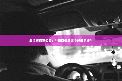 武汉市调查公司：**挽回情感哪个好哪家好**