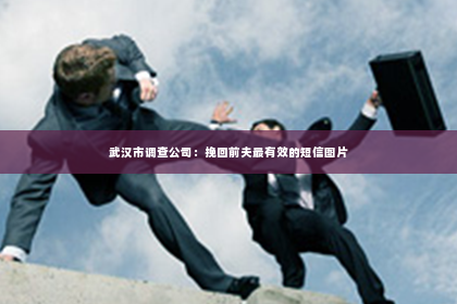 武汉市调查公司：挽回前夫最有效的短信图片