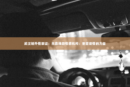 武汉婚外情取证：乐嘉挽回情感机构：重塑爱情的力量