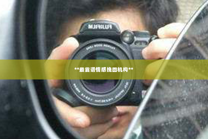 **最靠谱情感挽回机构**