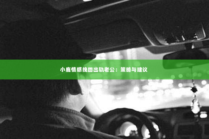 小鹿情感挽回出轨老公：策略与建议