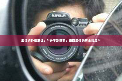 武汉婚外情取证：**分手冷静期：挽回爱情的黄金时段**