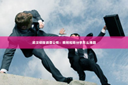 武汉侦探调查公司：我刚和她分手怎么挽回