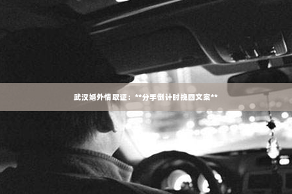 武汉婚外情取证：**分手倒计时挽回文案**