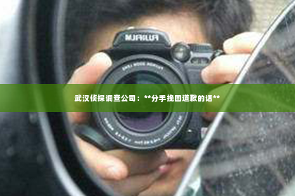 武汉侦探调查公司：**分手挽回道歉的话**